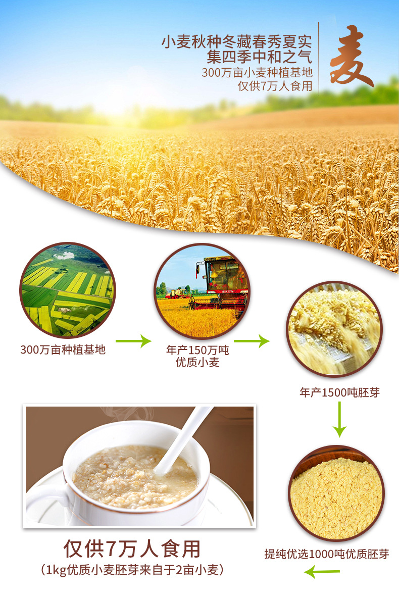 厂家直供 熟小麦胚芽 批发 五谷杂粮五谷粉早餐原料网红产品680g