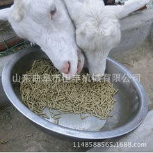 鱼食饲料制粒机 大型养殖牛羊饲料颗粒机环模颗粒机 广东供应