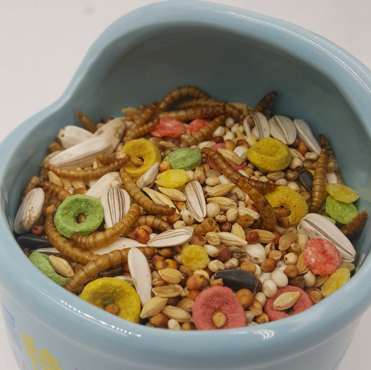 派特斯仓鼠粮食松鼠粮食金丝熊粮食宠物粮食食物454g饲料面包虫