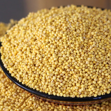 2018年东北大黄米 脱壳黍子 农家特产 五谷杂粮 500克