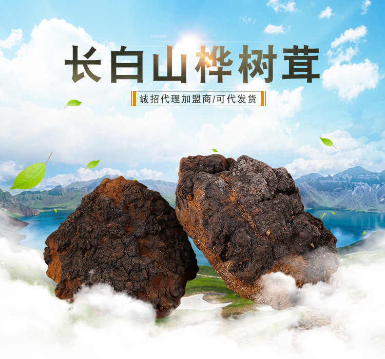 三江源东北特产长白山桦树茸 桦褐孔菌桦树茸油子干货散装批发