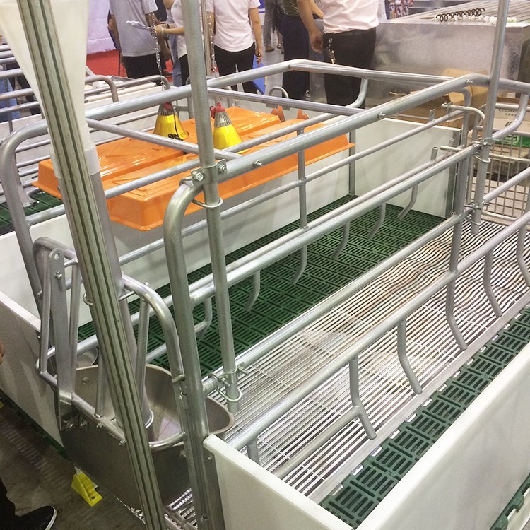 云母猪产床用保温罩双体母猪产床玻璃钢保温箱