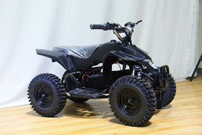 36v800w电动小铃木四轮沙滩越野摩托车atv迷你电动休闲娱乐代步车