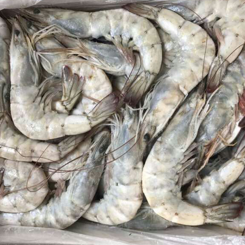 南美虾皇速冻南美白虾 野生虾鲜活冷冻大虾水产大虾冰鲜海鲜