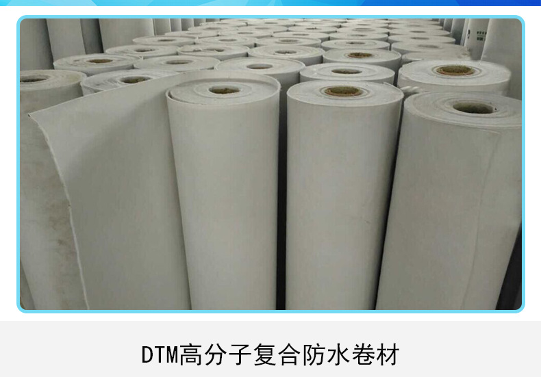 厂家直销 dtm高分子复合防水卷材 防水工程专项使用
