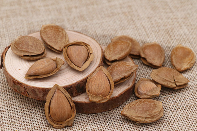 开口小银杏新疆特产批发 坚果炒货500g散装 年货零食 一件代发