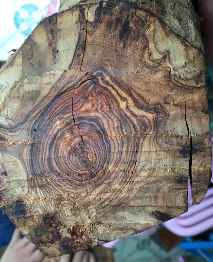 市场疯现降香藤香木冒充海南黄花梨,已有万人上当!望玩家谨慎