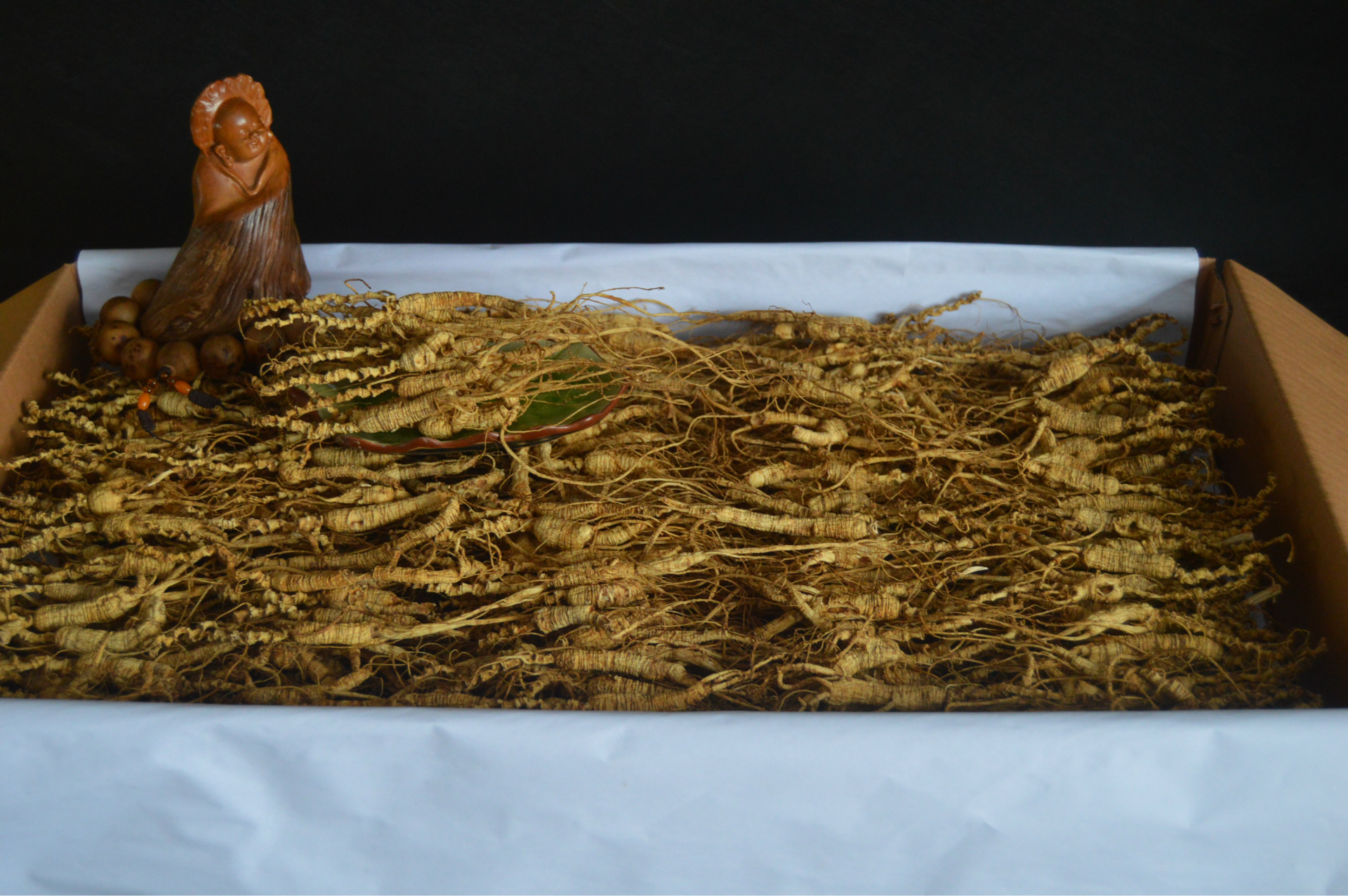 老人参 老山参 长白山老池底参 20年以上山参 东北山参 皮老纹深