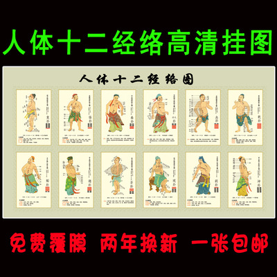 人体十二经络穴位图大挂图人体经络讲解示意图诊所墙贴装饰画广告