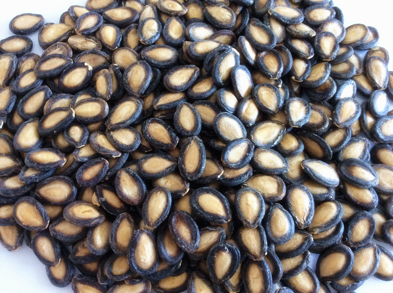 西瓜子西瓜籽籽瓜籽