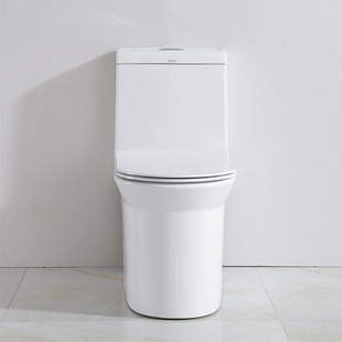 双孔超漩式连体马桶