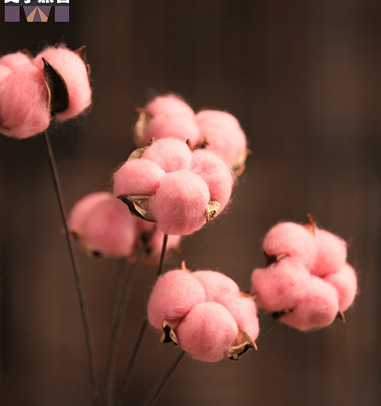 鲜花,花艺制品-美学黑客棉花枝干花棉花干花花束棉花装饰干花真花
