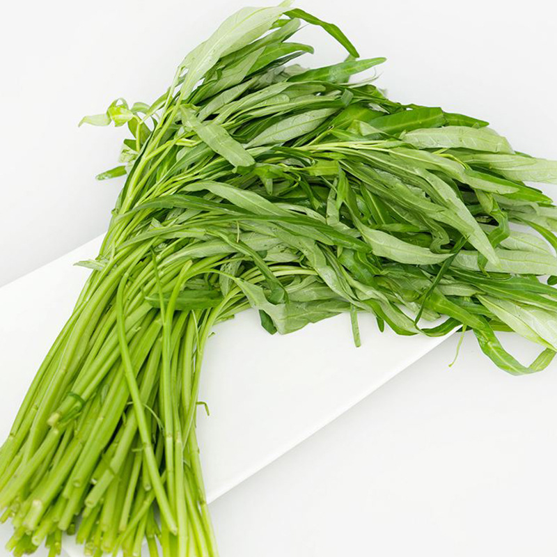 长期供应新鲜蔬菜空心菜 放心叶菜类蔬菜空心菜 量大优惠
