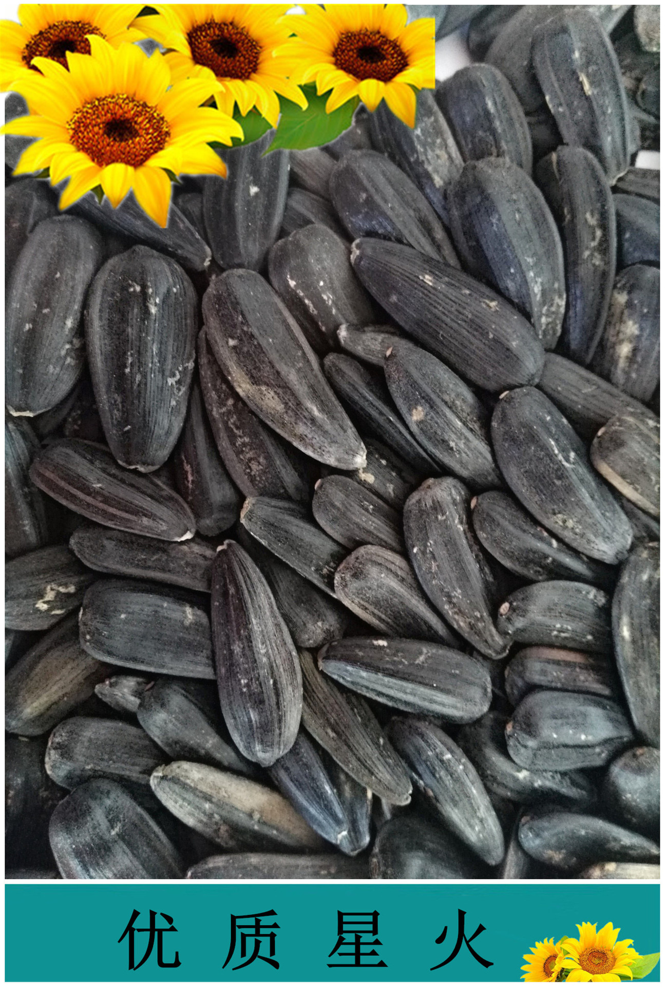 葵花籽(星火)黑瓜子黑金刚大瓜子清炒精品葵花籽