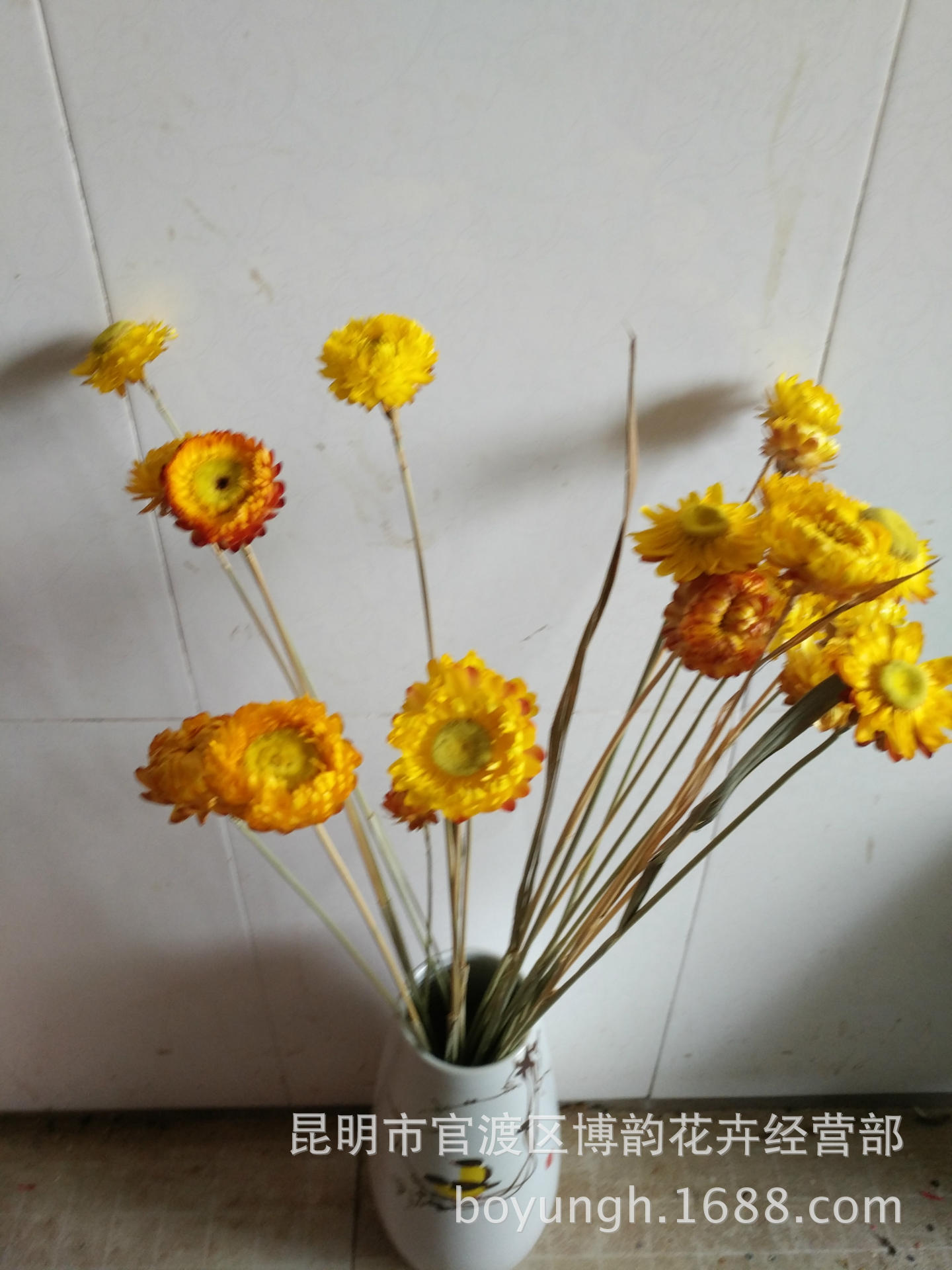 【小雏菊】纯黄色麦秆菊云南干花批发 清新百搭装饰干花 供应