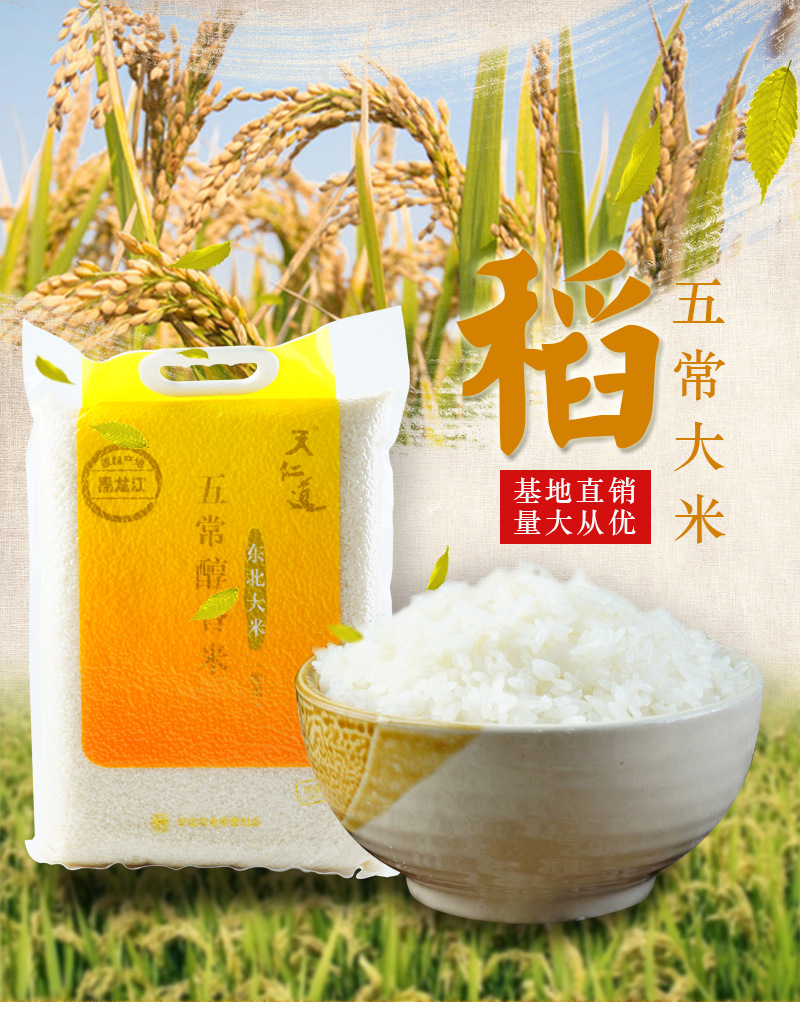 东北天仁道 五常大米 醇香米 绥粳 新米 5kg产地直销 批发 代发