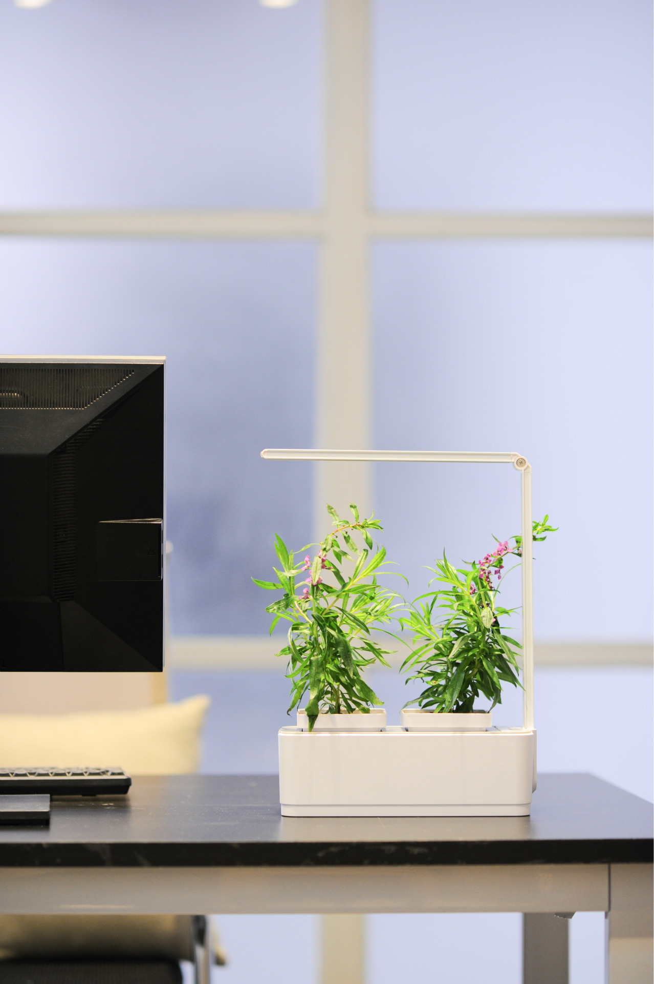 led组培灯/培育灯/植物生长灯