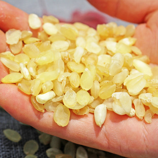 皂角米云南野生 特级双荚雪莲子桃花泪 桃胶皂角米