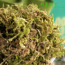 水苔干苔藓蝴蝶兰花土铁皮石斛育苗嫁接保湿龟冬眠运输垫材10公斤