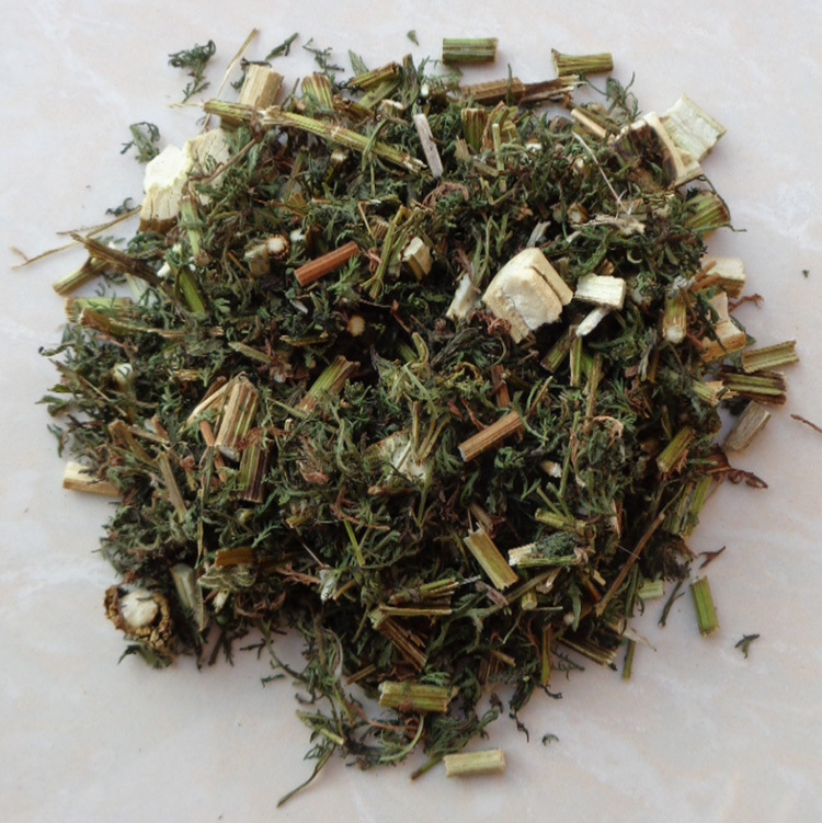 青蒿 中药材 草蒿 茵陈蒿 邪蒿 香蒿 臭蒿 黑蒿