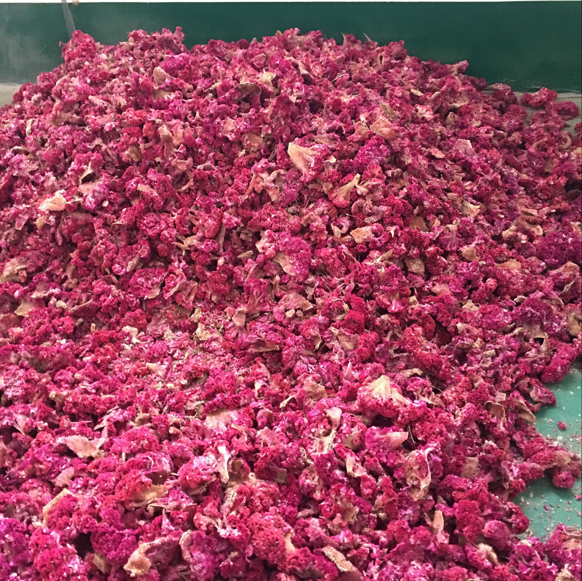 常富中药材 鸡冠花 红鸡冠花 鸡髻花 红白鸡冠花 大量现货无杂质