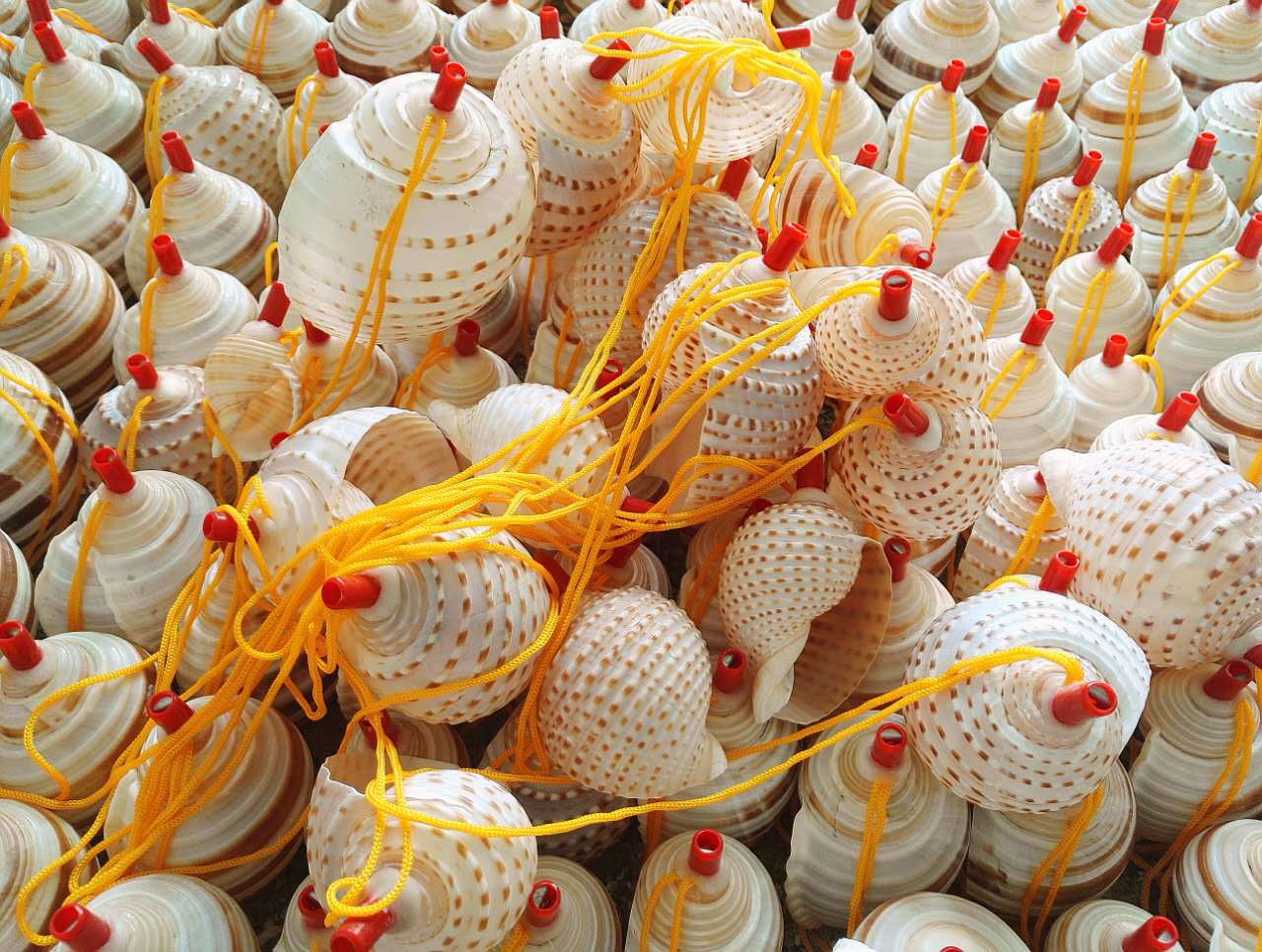 厂家供应天然海螺号黄炮螺儿童玩具海螺口哨贝壳工艺品景区热卖