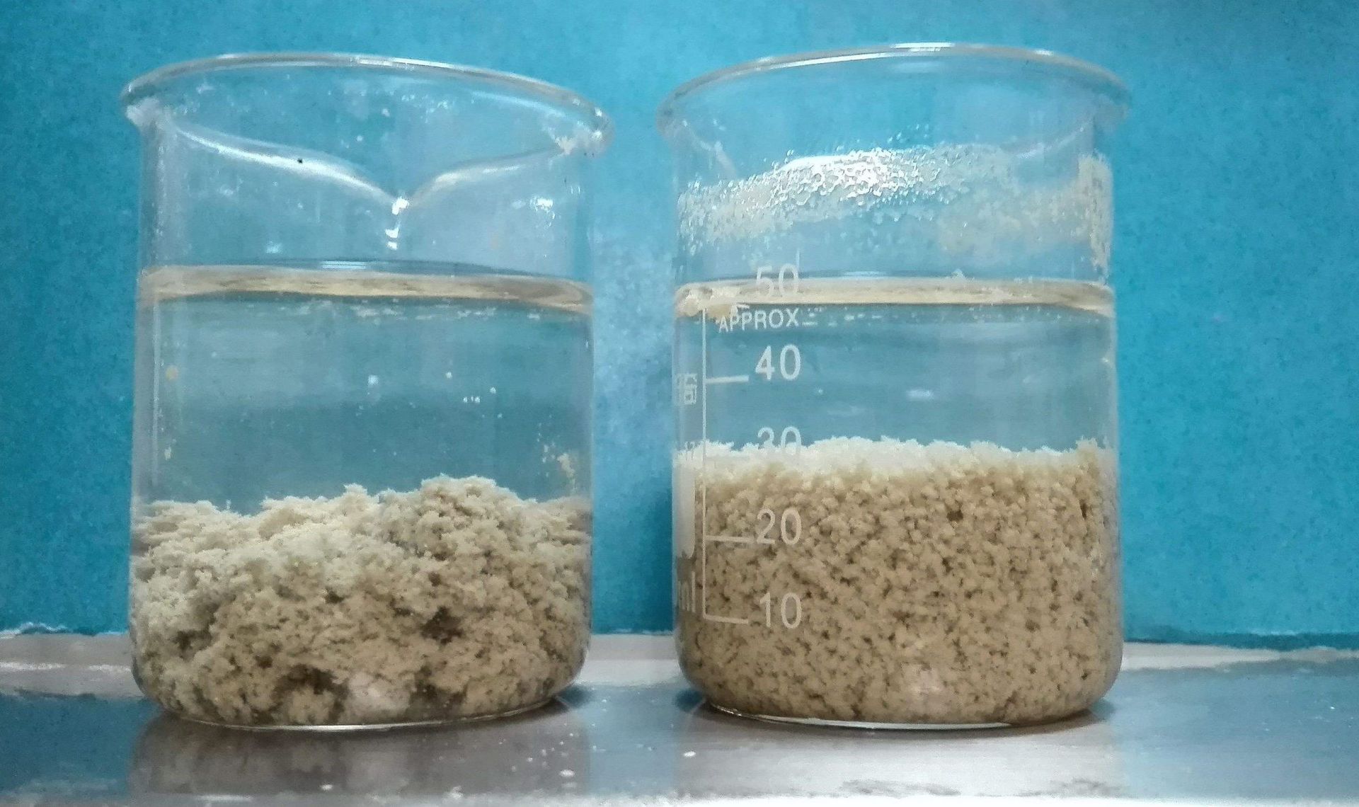 法国爱森净水絮凝剂 聚丙烯酰胺 pam 阴/阳/非离子 工业污水处理