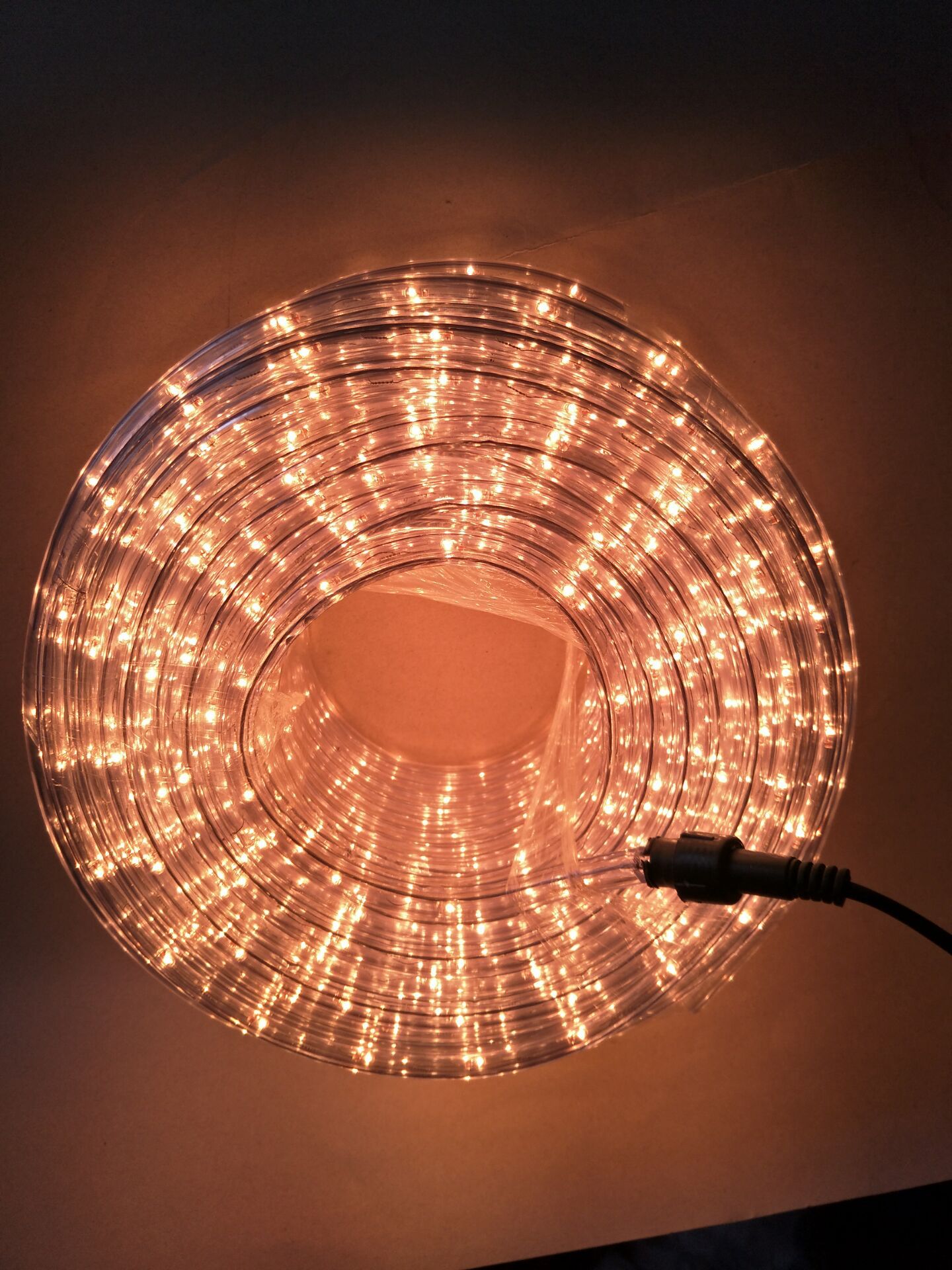 【厂家直销】led 米泡圆二线圆三线 彩虹管圣诞灯 24l/m 220v 可