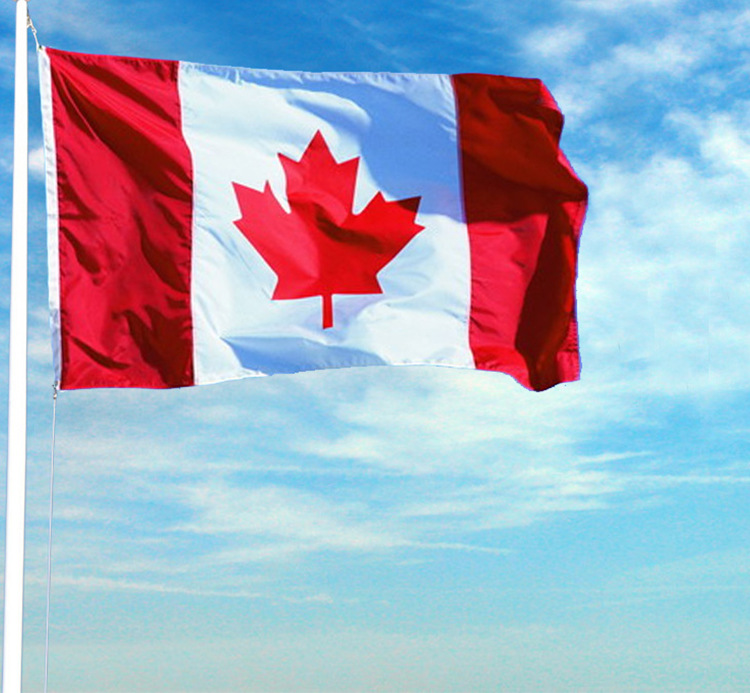 定做世界各国国旗批发美国国旗各种规格万国旗旗帜定做外国旗