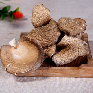 云南鲍鱼菇产地直销  口感好 鲍鱼菇 干货 1000g