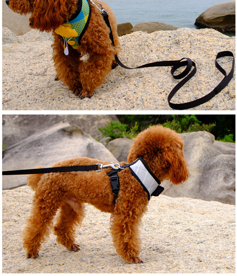 德丰宠物用品厂直批狗牵引绳套头式牵引绳泰迪外出狗链子一件代发