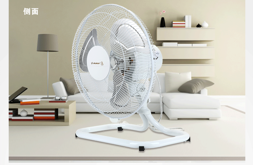 金羚(jinling)强力风扇摇头式台地电风扇金属强力电扇fe-40s