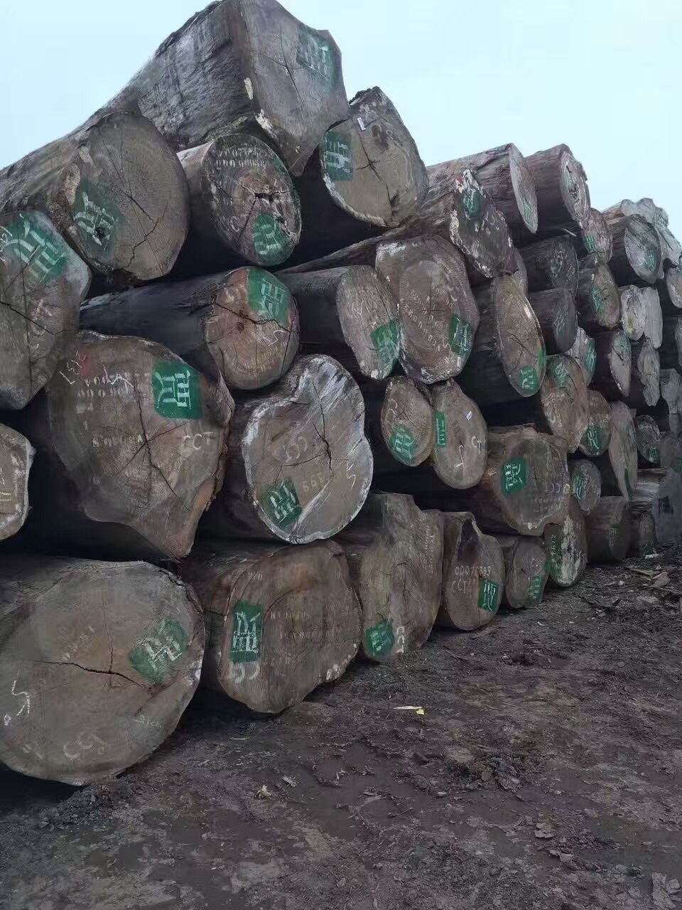 非洲 乌金木原木 板材 实木 高级家具材料 高端乌金木-阿里巴巴