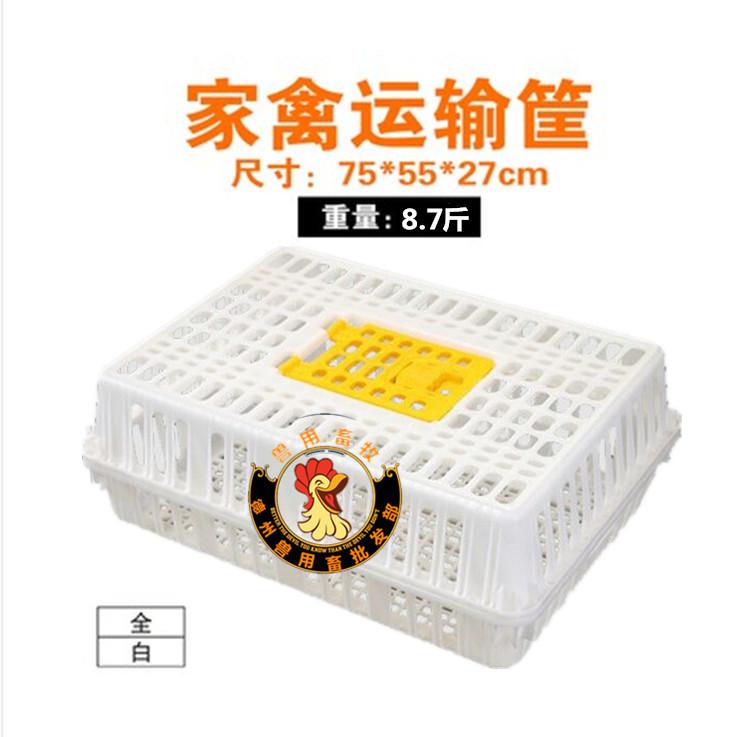塑料笼子周转框加厚运输使用组装式家用成鸡养殖塑料鸡笼大号包邮