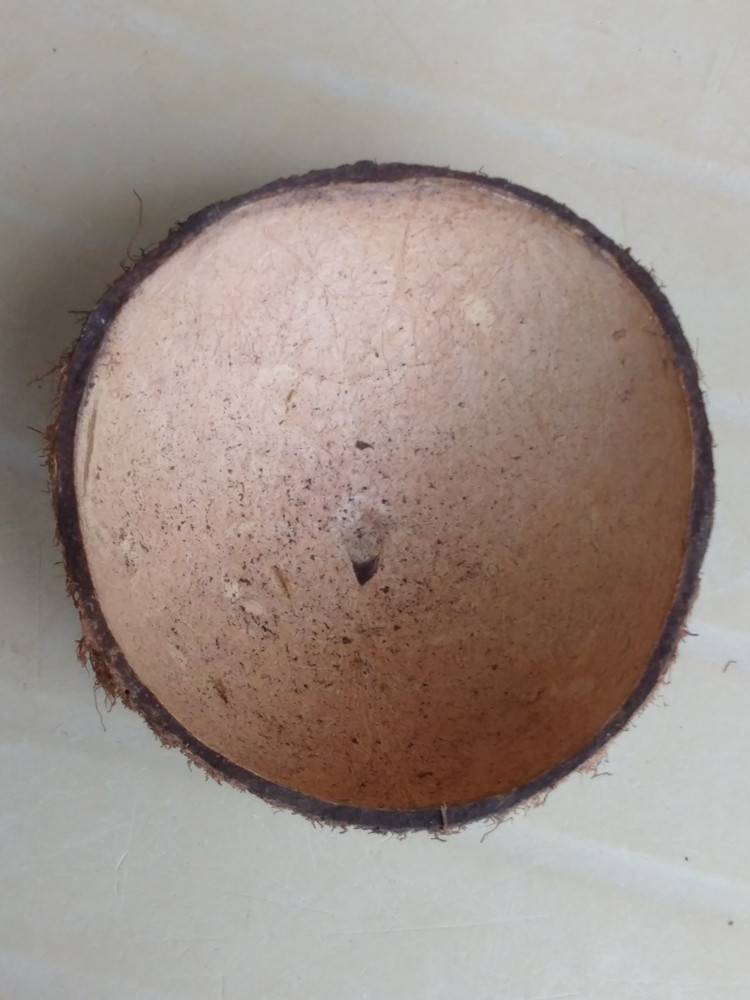 厂家批发椰子壳 纯天然手工带毛半边椰壳圆形椰片原料 量大价优