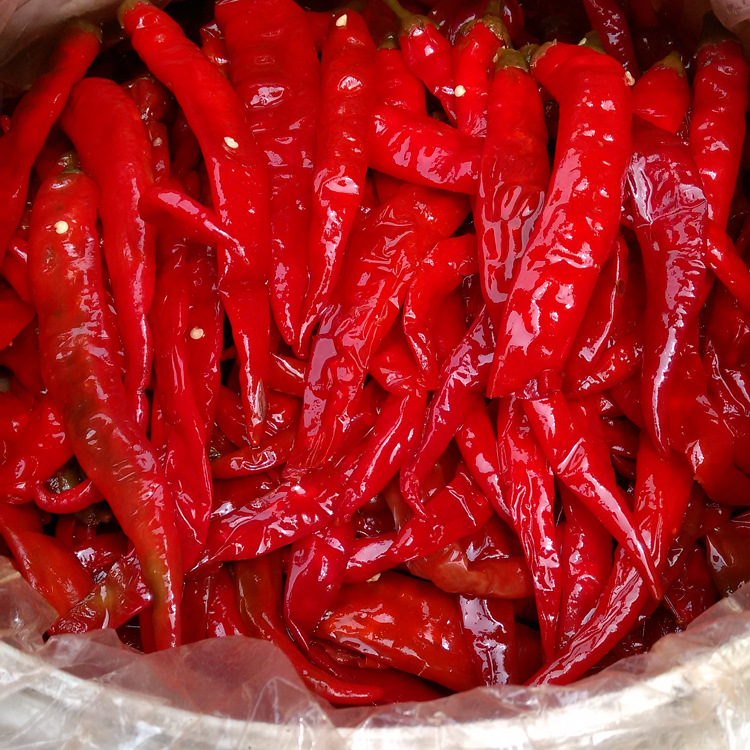四川泡辣椒泡二荆条海椒30kg泡红椒中餐火锅泡椒酱腌菜散装批发