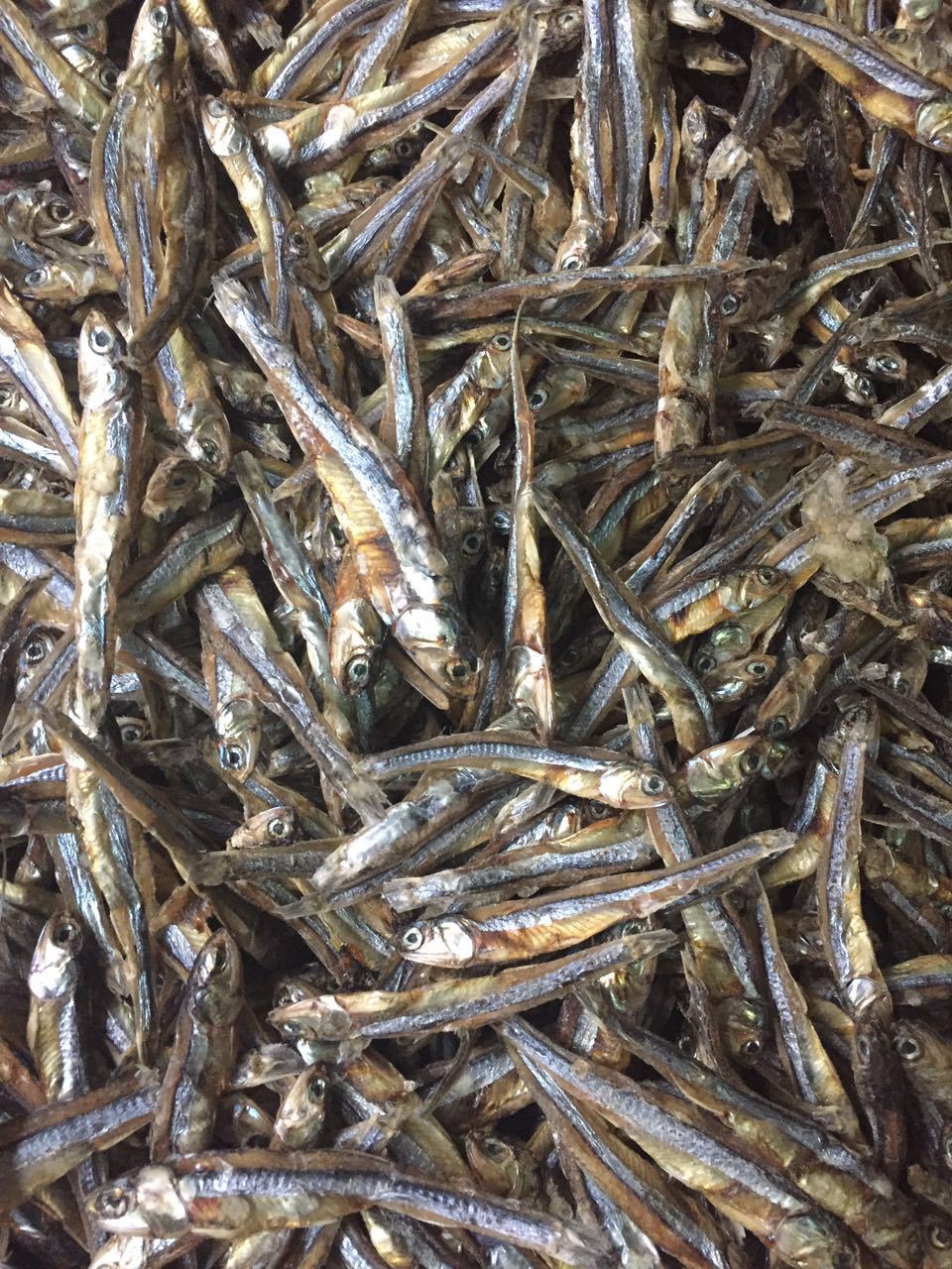 厂家大量批发直销天然海产品淡晒干公鱼广西北海特产一件代