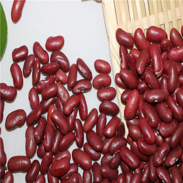 豫兰批发农家产红饭豆大红芸豆食用散装杂粮豆类批发50斤/件
