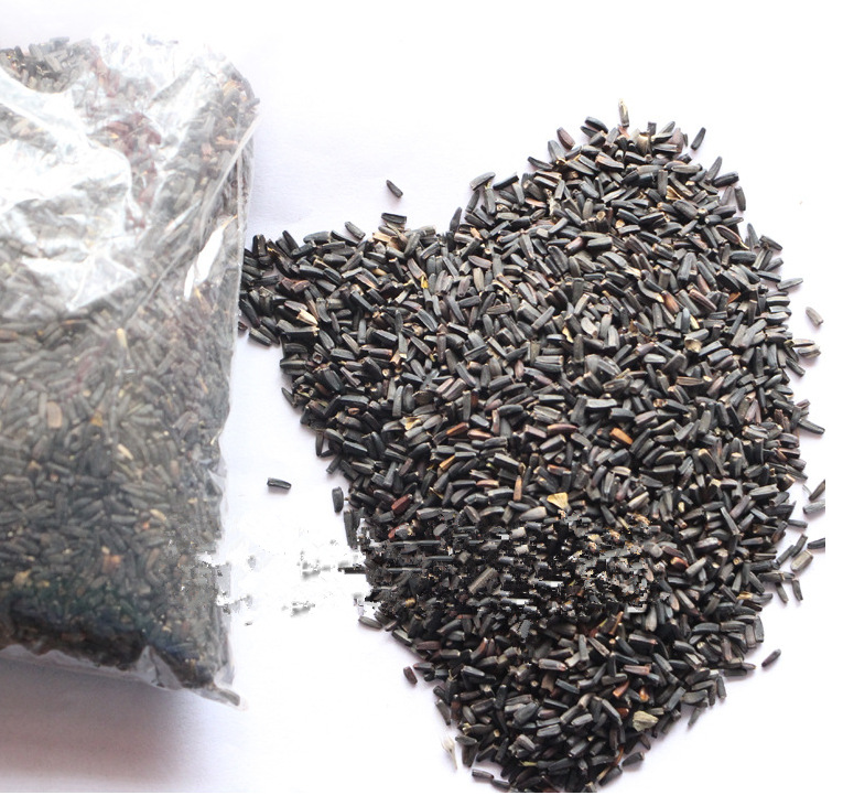 厂家直销花草优质日光菊籽质量保证成活率高品种齐全量大优惠