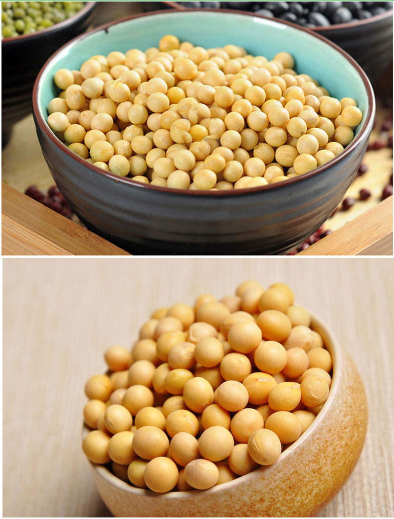 御膳坊东北新鲜黄豆250g 2017新货可发豆芽打豆浆农家五谷杂粮