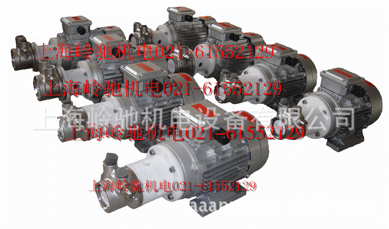 三相单相磁力旋转叶片泵 增压泵 给水泵 油泵 溶剂泵