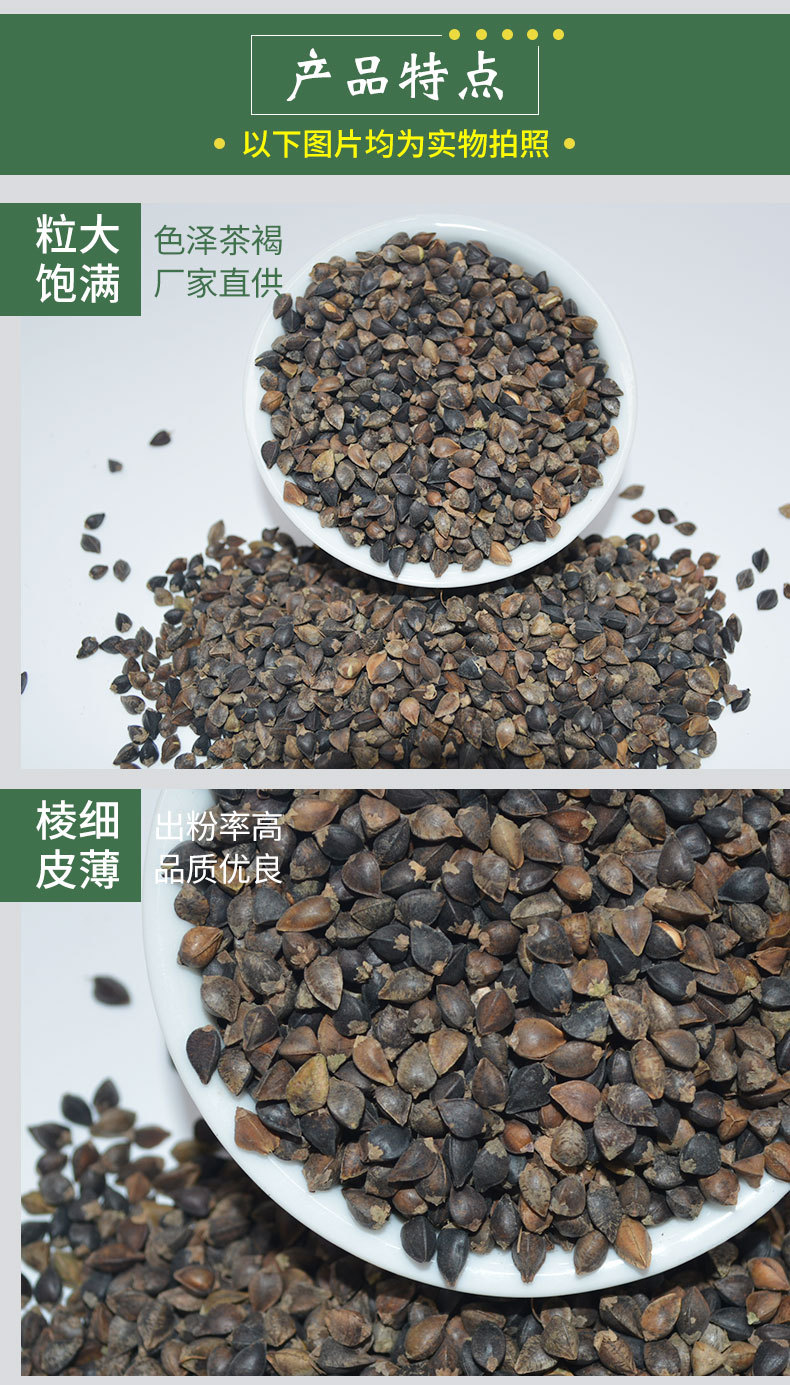 黑苦荞 麻苦荞 甜荞芽酿酒种子专用500g5件包邮2019年新种子