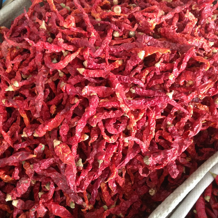 批发四川二荆条干辣椒皱皮椒干海椒油辣子微辣香500克香而微辣