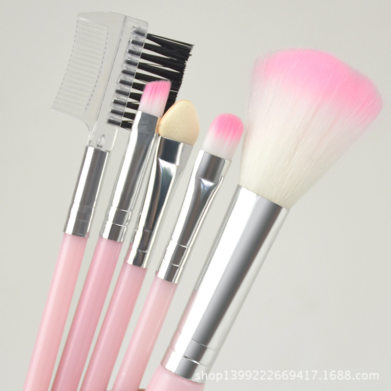 Factory Direct Sales New 5 Brushes Makeup Brush Pink Suit Beginner Eye Shadow Brush Cosmetic Brush in Stock Wholesale