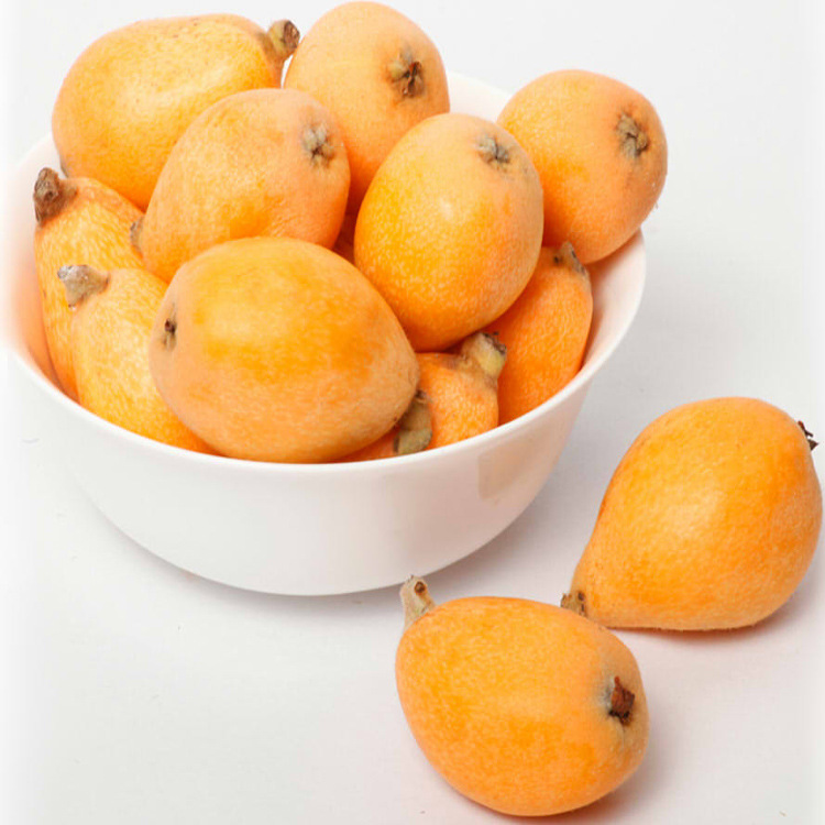 食用级2528川贝枇杷香精用于饮料软糖糖浆保健品等产品