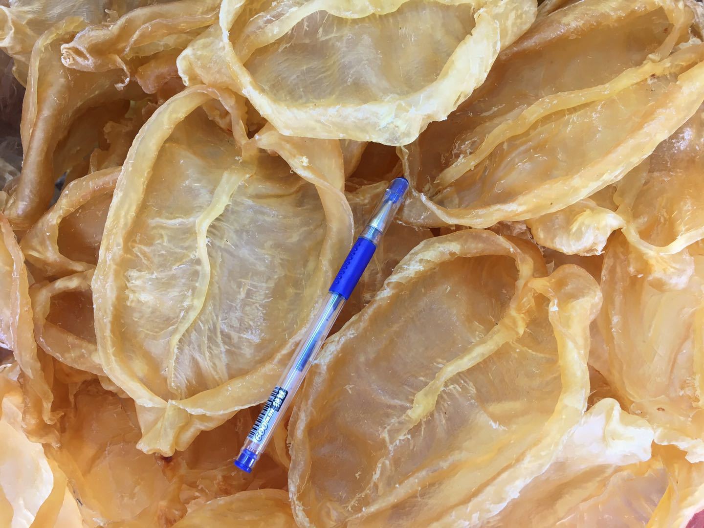 黄花胶筒鱼肚片 胶 鱼鳔 开边鱼胶 花胶批发 黄花胶礼盒代发