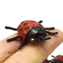 新款塑料PVC小昆虫甲虫瓢虫模型玩具吓人整人玩具礼品