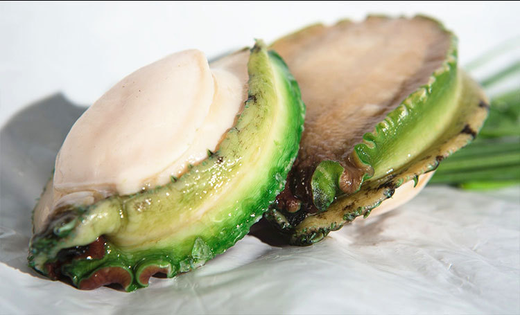 澳鲍荟澳洲原装进口液氮刺生级野生带壳青边鲍鱼 1只袋装海鲜水产