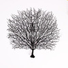decorate Coral branches shot prop Swing sets decorate Wedding celebration arrangement Peacock 4 simulation branch Manufactor Showcase decorate Coral branches shot prop Swing sets decorate Wedding celebration arrangement Peacock 4 simulation branch Manufactor Showcase
