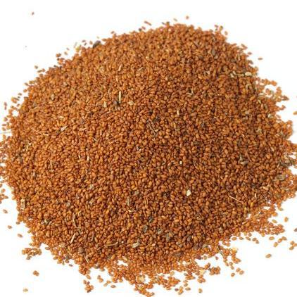 葶苈子丁历葶葶苈子丁历大适大室中药材批发